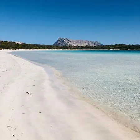 Villa Tavolara Cala Girgolu Porto Taverna